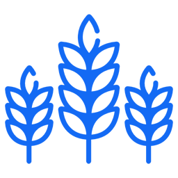 espiga